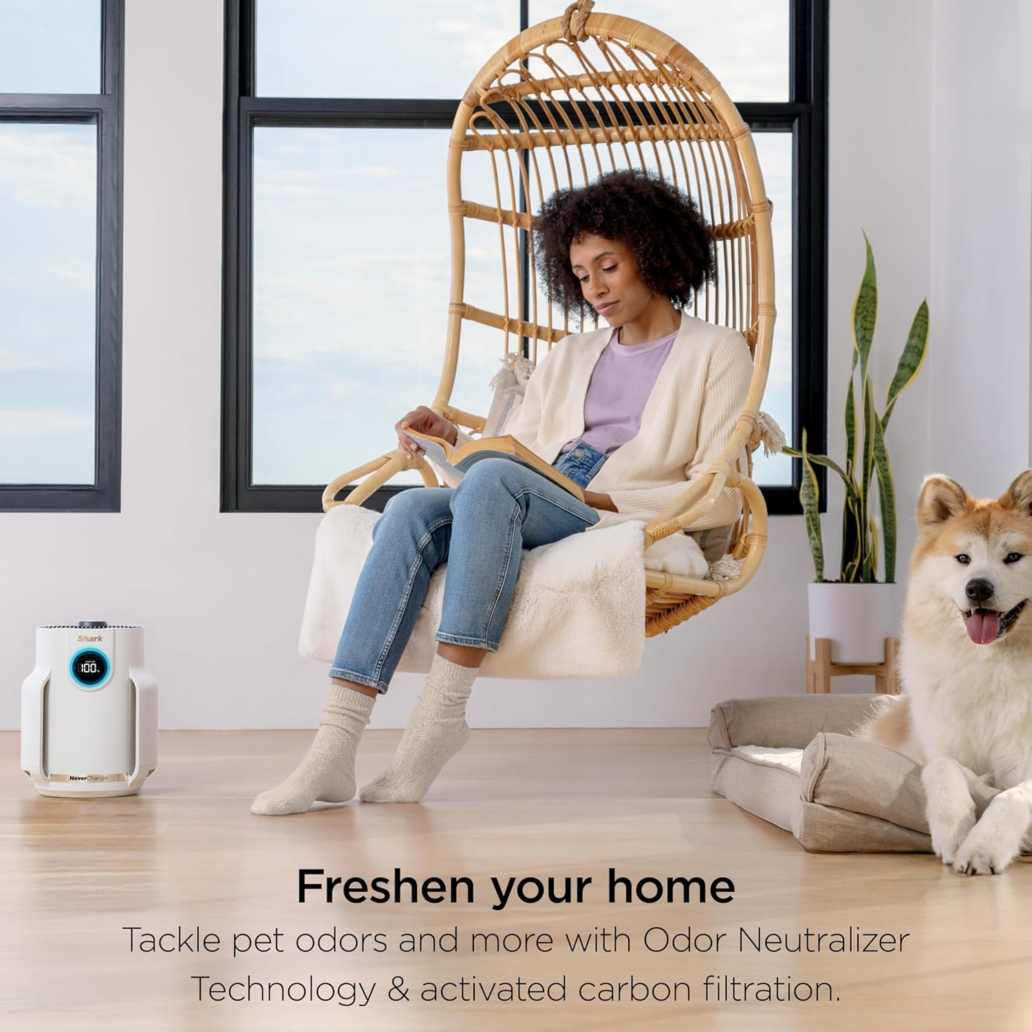 (2x1) CleanSense Pro Your room can finally breathe—and so can you